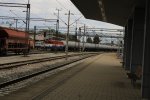 IMG_3082.JPG