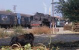 Selcuk 1989.jpg