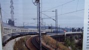 IMG_6999.JPG